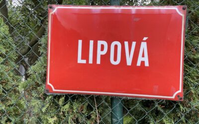 Rekonstrukce Lipové ulice