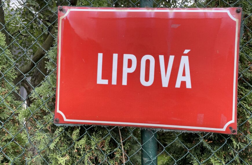 Rekonstrukce Lipové ulice