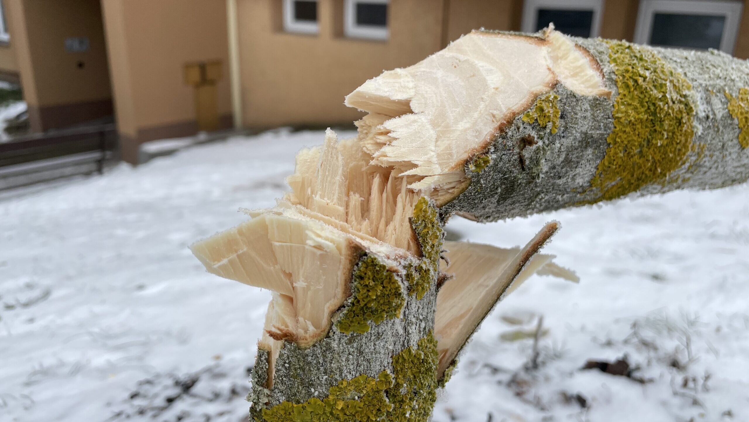 Žďár nadále bojuje s vandalismem